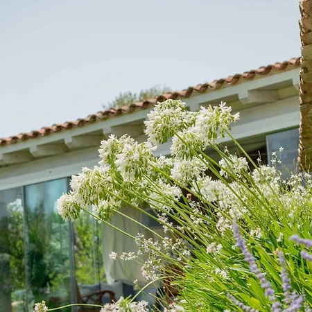 Villa Villa Puntaldia Puntaldia