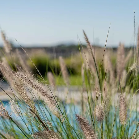 Villa Puntaldia Villa Puntaldia