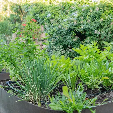 Villa Villa Puntaldia Puntaldia