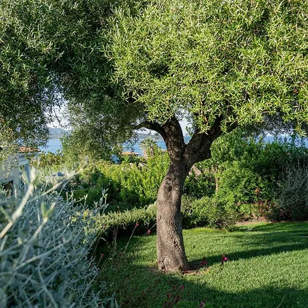 Villa Puntaldia ヴィラ *