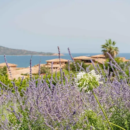 Villa Puntaldia ヴィラ *